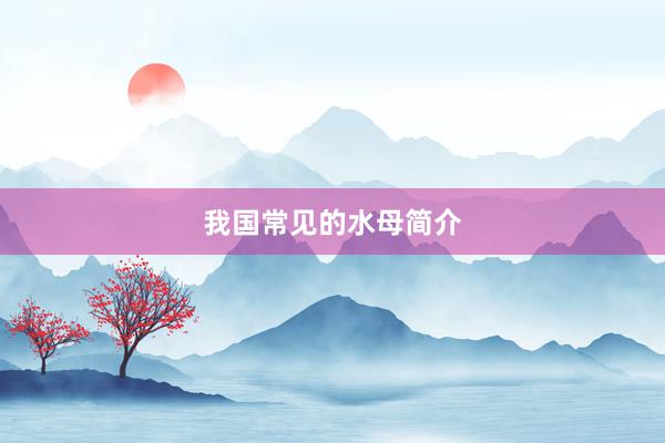 我国常见的水母简介